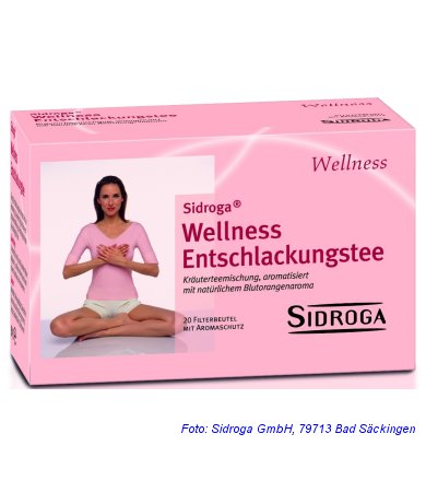 Sidroga Wellness Entschlackungstee 20 Teebeutel